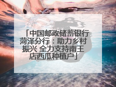 中国邮政储蓄银行菏泽分行：助力乡村振兴 全力支持南王店西瓜种植户