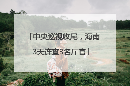 中央巡视收尾，海南3天连查3名厅官