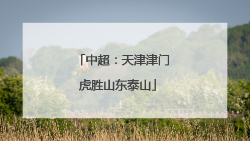 中超：天津津门虎胜山东泰山