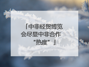 中非经贸博览会尽显中非合作“热度”