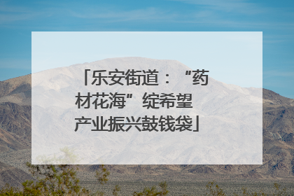 乐安街道：“药材花海”绽希望 产业振兴鼓钱袋