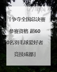 争夺全国总决赛参赛资格 超600名羽毛球爱好者竞技成都