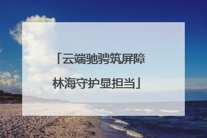 云端驰骋筑屏障 林海守护显担当