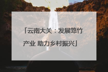 云南大关：发展筇竹产业 助力乡村振兴