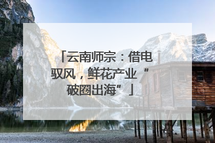 云南师宗：借电驭风，鲜花产业“破圈出海”