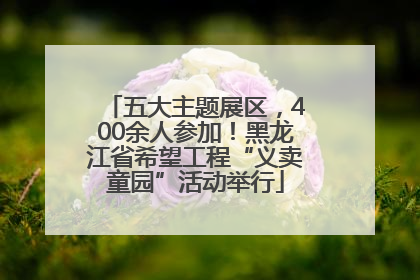 五大主题展区，400余人参加！黑龙江省希望工程“义卖童园”活动举行