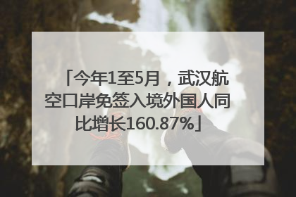 今年1至5月，武汉航空口岸免签入境外国人同比增长160.87%