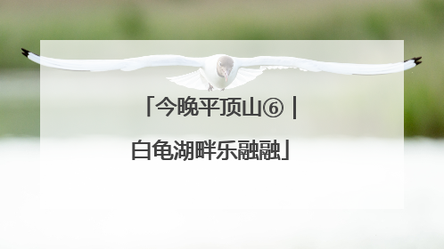 今晚平顶山⑥｜白龟湖畔乐融融