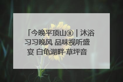 今晚平顶山⑧｜沐浴习习晚风 品味视听盛宴 白龟湖畔·草坪音乐会激情上演