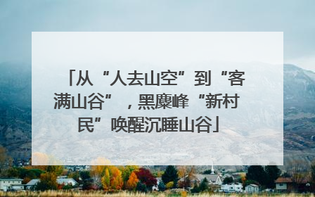 从“人去山空”到“客满山谷”，黑麋峰“新村民”唤醒沉睡山谷