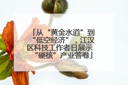 从“黄金水道”到“低空经济”，江汉区科技工作者日展示“硬核”产业答卷