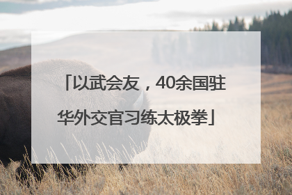 以武会友，40余国驻华外交官习练太极拳