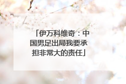 伊万科维奇：中国男足出局我要承担非常大的责任