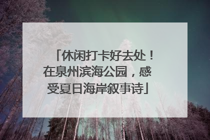 休闲打卡好去处！在泉州滨海公园，感受夏日海岸叙事诗