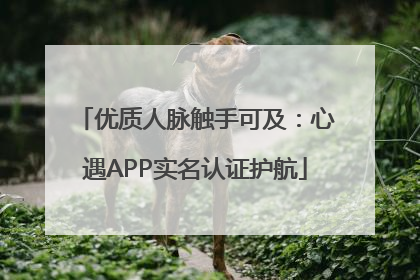 优质人脉触手可及：心遇APP实名认证护航