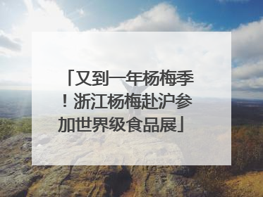 又到一年杨梅季！浙江杨梅赴沪参加世界级食品展