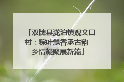 双牌县泷泊镇观文口村：粽叶飘香承古韵 乡情凝聚展新篇