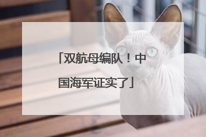 双航母编队！中国海军证实了