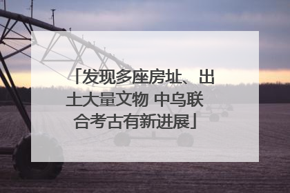 发现多座房址、出土大量文物 中乌联合考古有新进展