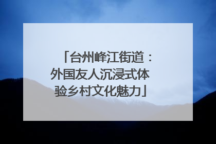 台州峰江街道：外国友人沉浸式体验乡村文化魅力