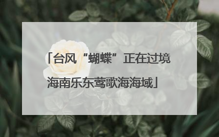 台风“蝴蝶”正在过境海南乐东莺歌海海域