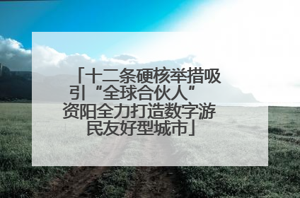 十二条硬核举措吸引“全球合伙人” 资阳全力打造数字游民友好型城市