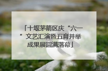 十堰茅箭区庆“六一”文艺汇演暨五育并举成果展圆满落幕
