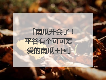 南瓜开会了！平谷有个可可爱爱的南瓜王国