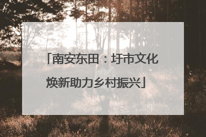 南安东田：圩市文化焕新助力乡村振兴