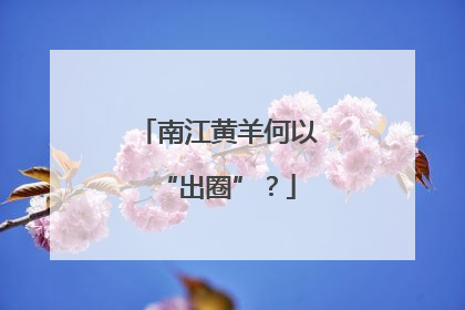 南江黄羊何以“出圈”？
