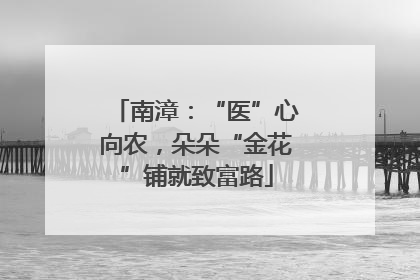 南漳：“医”心向农，朵朵“金花”铺就致富路