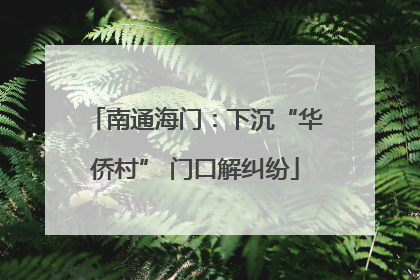 南通海门：下沉“华侨村” 门口解纠纷