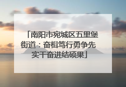 南阳市宛城区五里堡街道：奋楫笃行勇争先 实干奋进结硕果