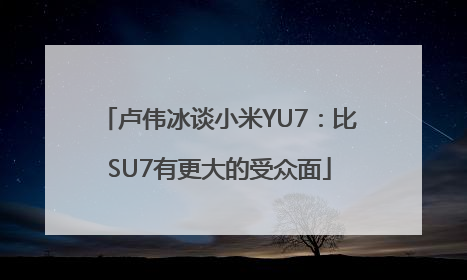 卢伟冰谈小米YU7：比SU7有更大的受众面