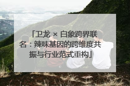 卫龙 × 白象跨界联名：辣味基因的跨维度共振与行业范式重构