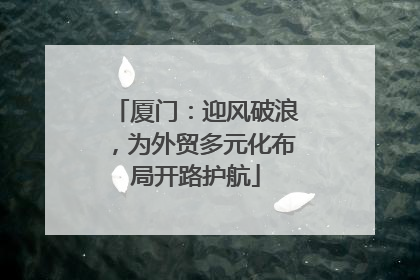 厦门：迎风破浪，为外贸多元化布局开路护航