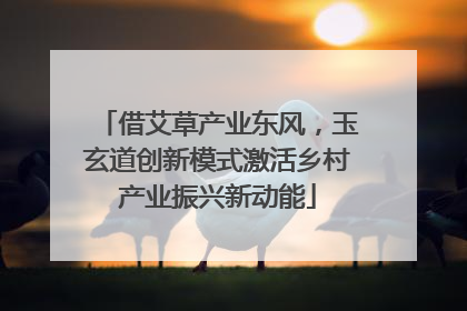 借艾草产业东风，玉玄道创新模式激活乡村产业振兴新动能