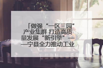 做强“一区三园”产业集群 打造高质量发展“新引擎”——宁县全力推动工业经济提质增效