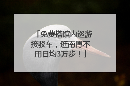 免费搭馆内巡游接驳车，逛南博不用日均3万步！