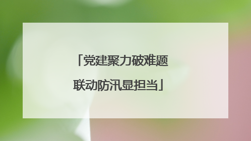 党建聚力破难题 联动防汛显担当