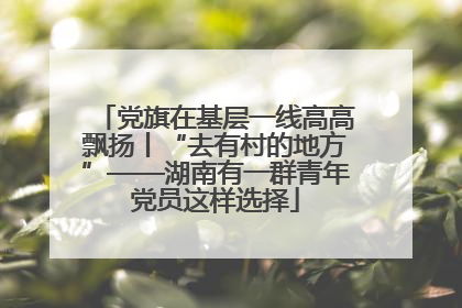 党旗在基层一线高高飘扬丨“去有村的地方”——湖南有一群青年党员这样选择