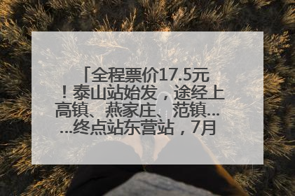 全程票价17.5元！泰山站始发，途经上高镇、燕家庄、范镇……终点站东营站，7月1日开通！