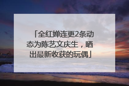 全红婵连更2条动态为陈艺文庆生，晒出最新收获的玩偶
