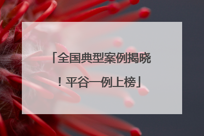 全国典型案例揭晓！平谷一例上榜