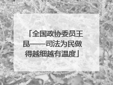 全国政协委员王昆——司法为民做得越细越有温度