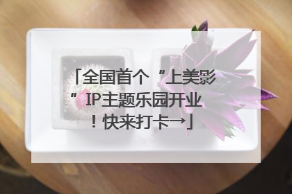 全国首个“上美影”IP主题乐园开业！快来打卡→
