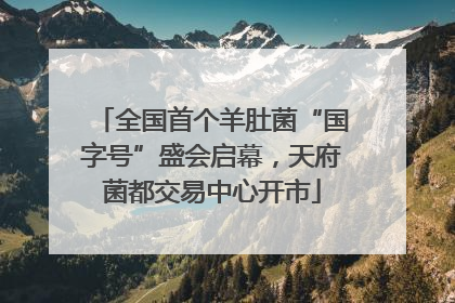全国首个羊肚菌“国字号”盛会启幕，天府菌都交易中心开市