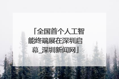 全国首个人工智能终端展在深圳启幕_深圳新闻网