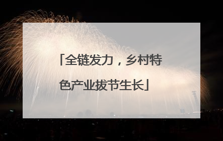 全链发力，乡村特色产业拔节生长