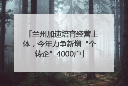 兰州加速培育经营主体，今年力争新增“个转企”4000户